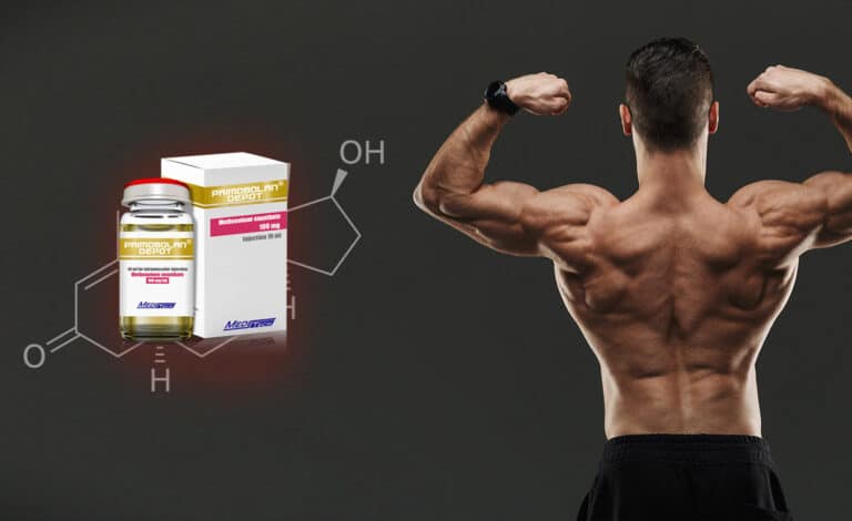 Primobolan : flacons de Primobolan et haltères de musculation