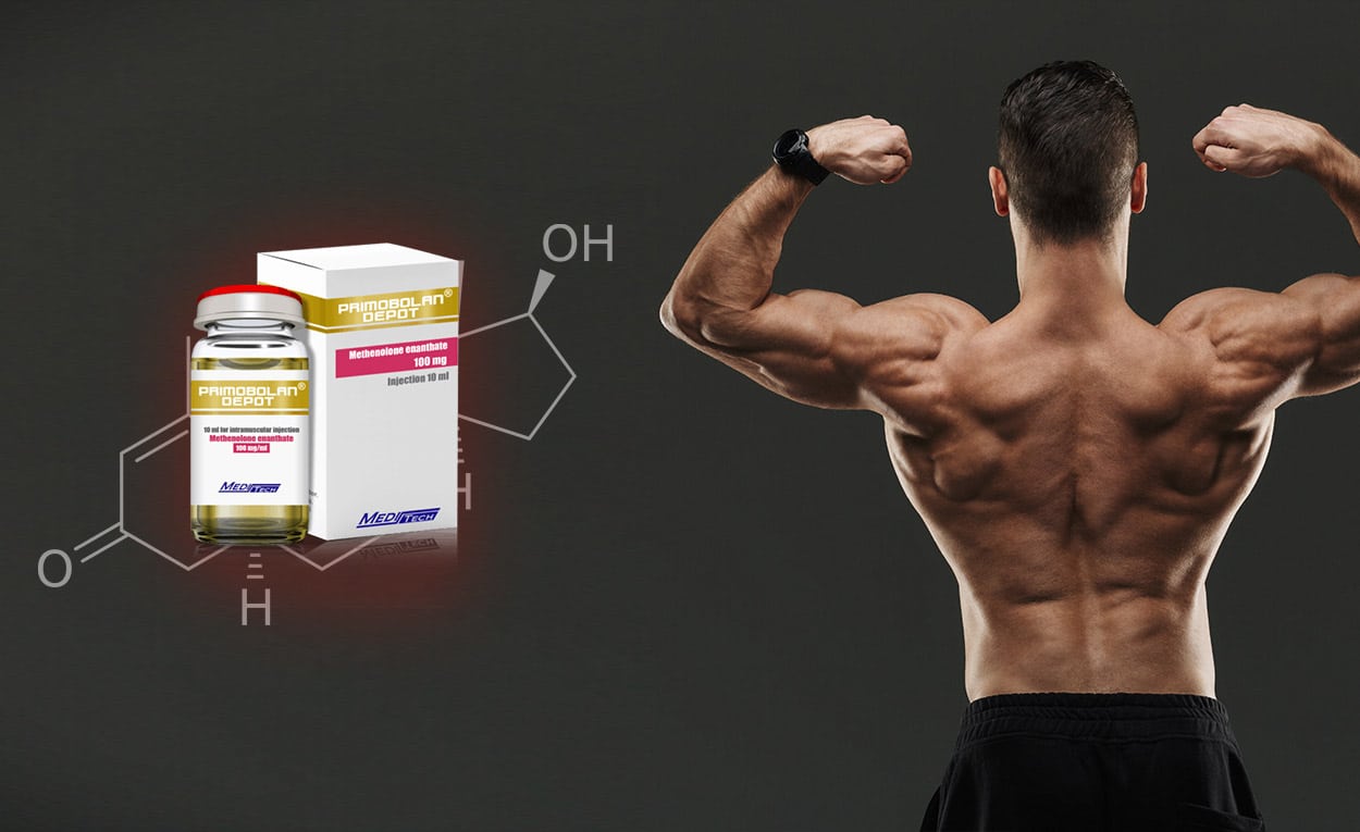 Primobolan : flacons de Primobolan et haltères de musculation