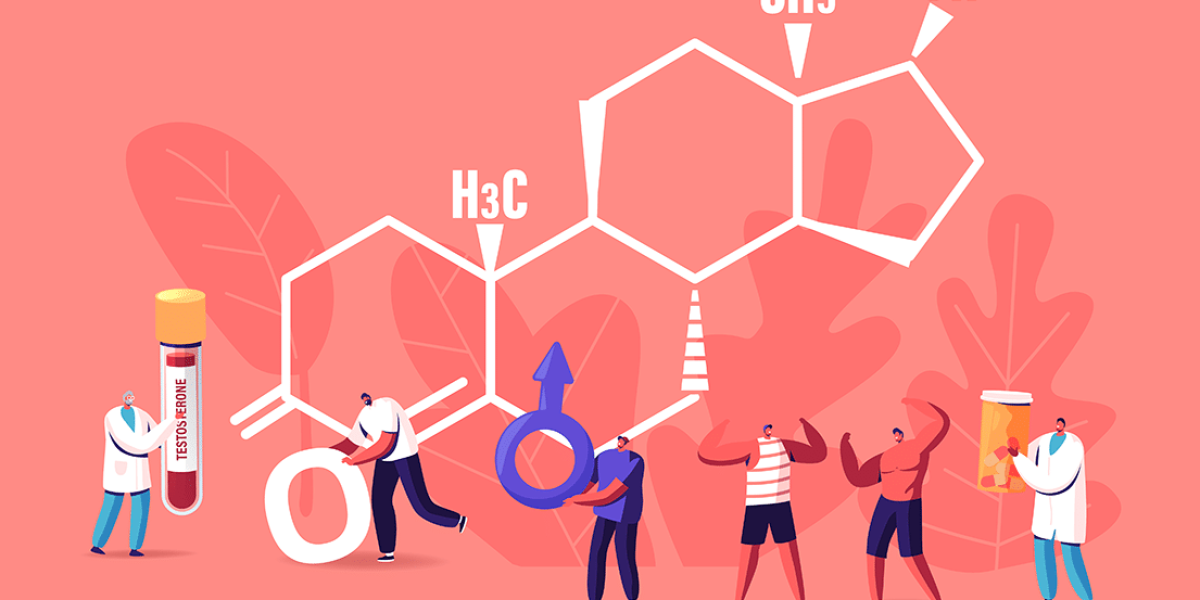 testostérone : représentation graphique de la testostérone dans le corps humain